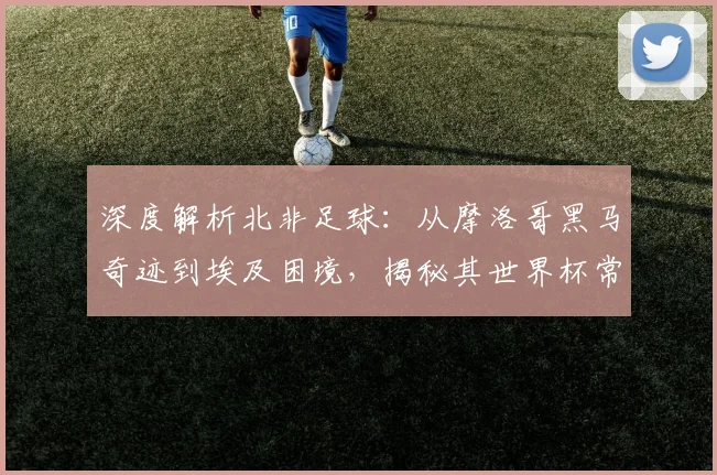 深度解析北非足球：从摩洛哥黑马奇迹到埃及困境，揭秘其世界杯常客与搅局者本色
